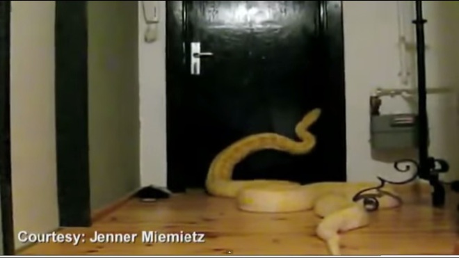 Боата Джулиъс