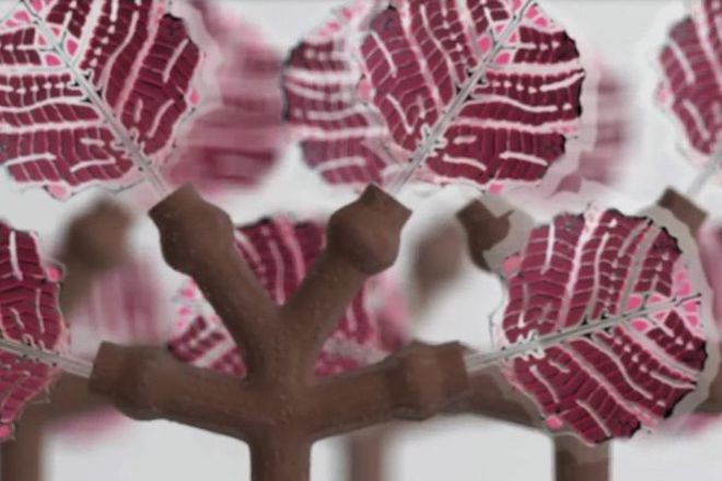 Darvoto koeto mozhe da zaredi telefona vi