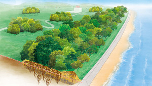 Проектът "Великата горска стена"