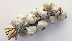 Плитка чесън