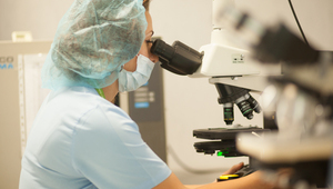 Под микроскоп