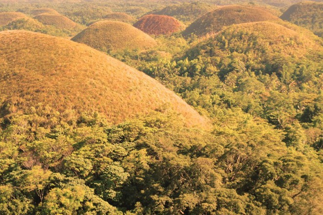 Shokoladovite halmove vav filipinite