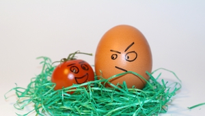 "Чук-чук, яйчице..."