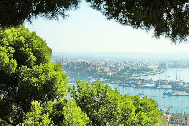 Izgled kam palma de mayorka