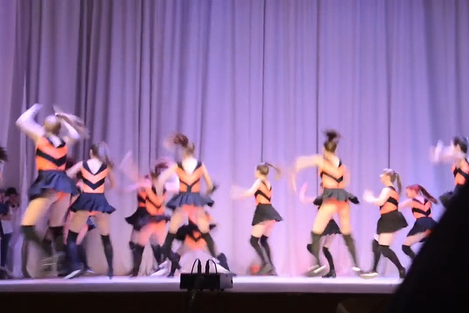  pchelichkite na mecho puh