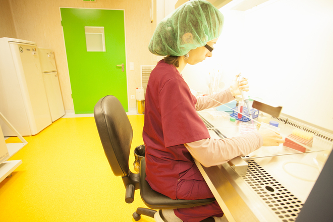 Laboratoriya za stvolovi kletki