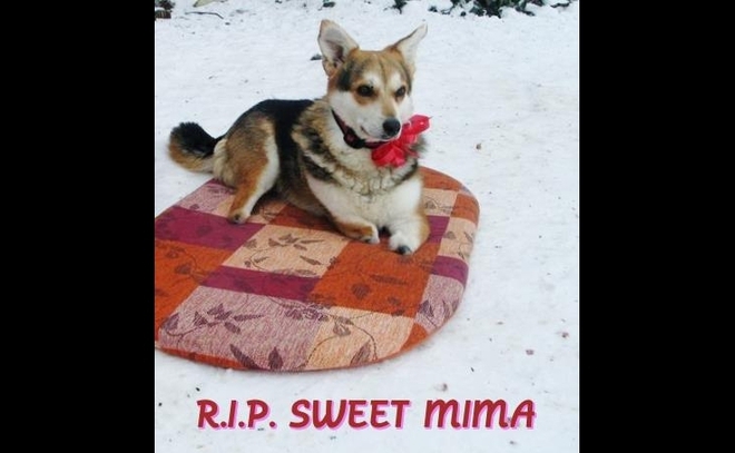 Почивай в мир, Мима!