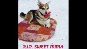 Почивай в мир, Мима!