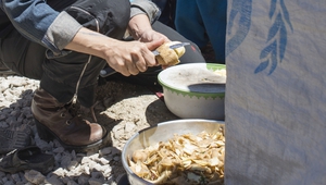 Салма Хайек бели картофи в бежански лагер