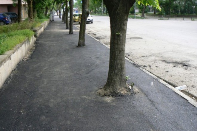 Darveta s asfalt vav vidin