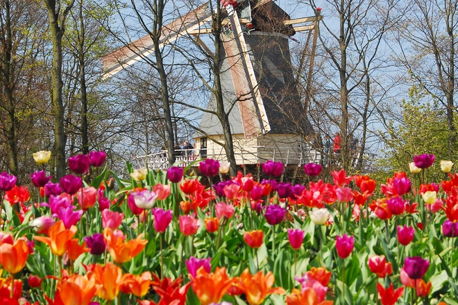 Laleta i vyatarna melnitsa v koykenhof