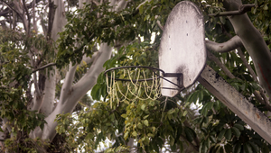 Баскетболен кош