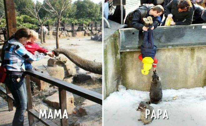 Kogato-mama-i-tatko-ni-vodyat-na-zoopark