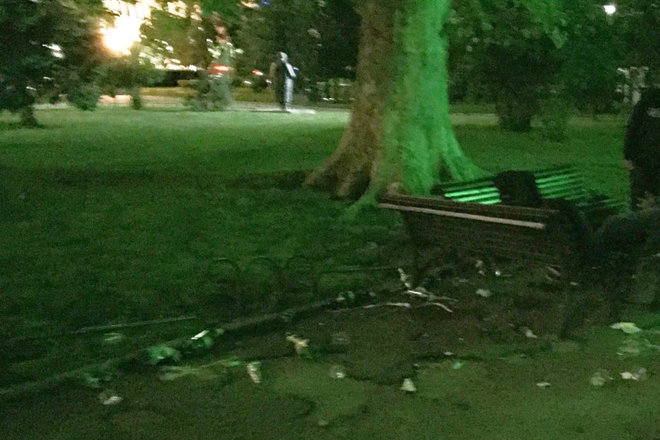 Gradskata gradina v sofiya kasno vecher