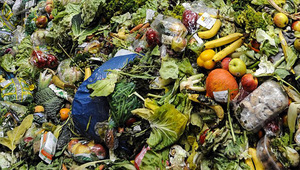 Изхвърлена храна