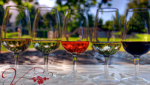 Wine Teasting Getaway - виното като усещане