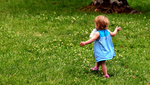 На разходка с дребосъци