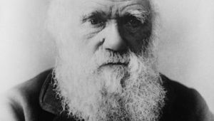 Чарлз Дарвин