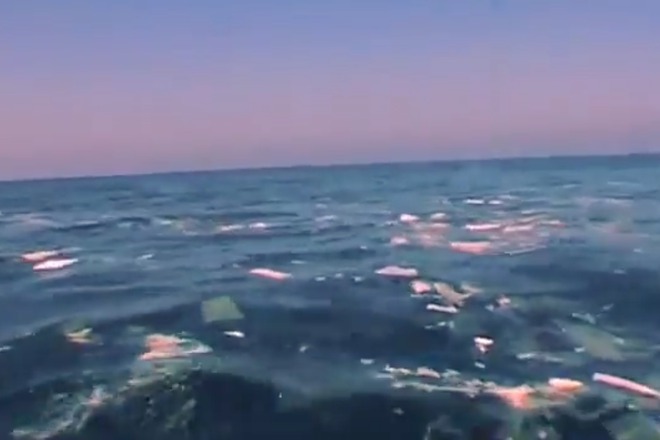 Naylonovi otpadatsi v sredizemno more