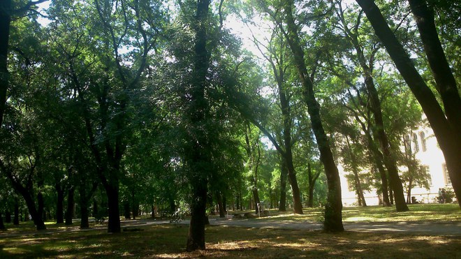 Зеленина и спокойствие в парка на Военната академия