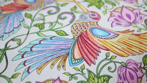 Оцветени страници от книгите на Джохана Басфорд