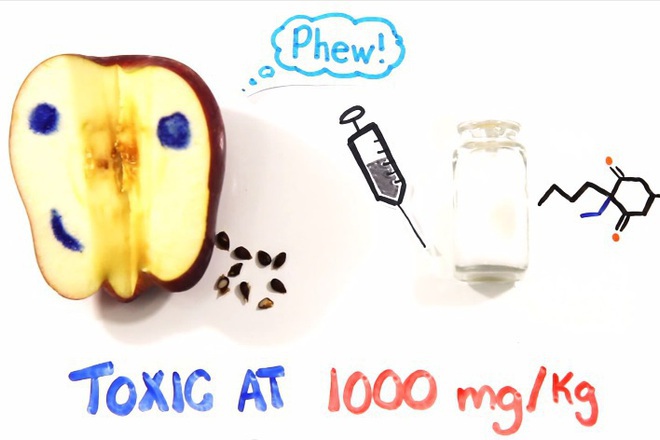 Himiyata v tova koeto yadem