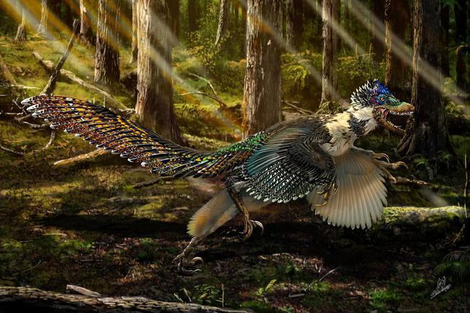 Pernat raptor otkrit v kitay