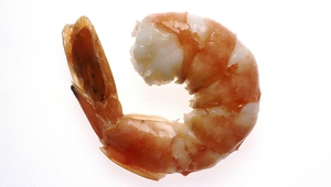 Полуизчистена варена скарида