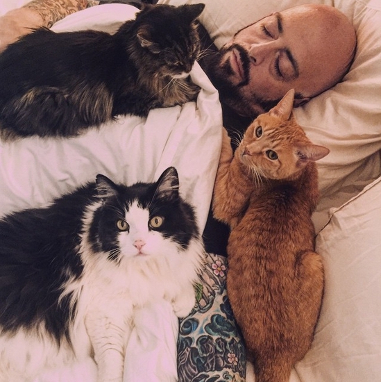 Джаксън Галакси с три от котките си