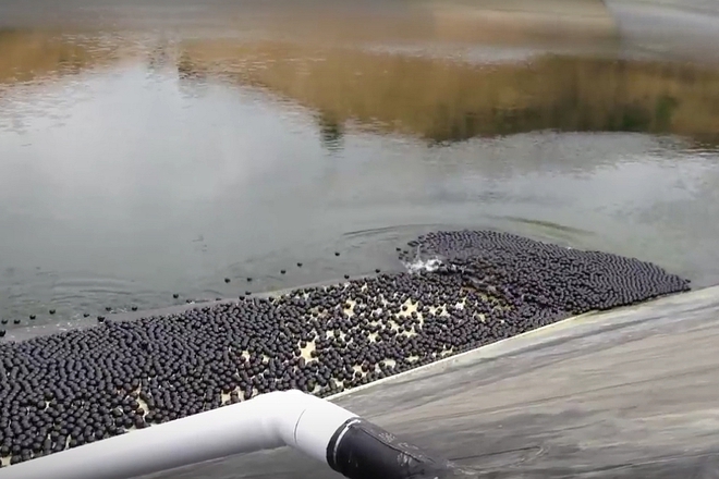  senchesti topki sreshtu vodnata kriza v los andzhelis