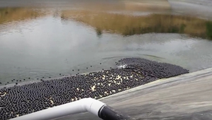 "Сенчести топки" срещу водната криза в Лос Анджелис