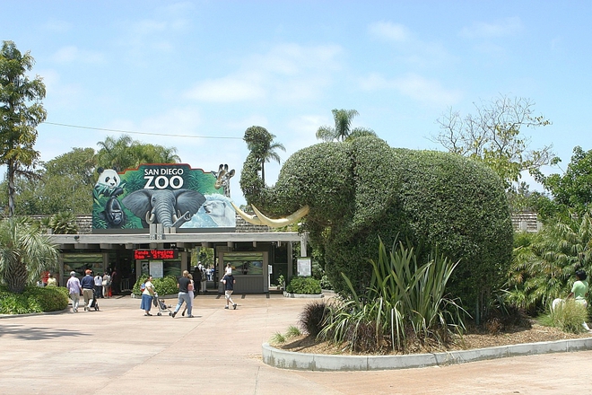 Vhodat na zooparka v san diego