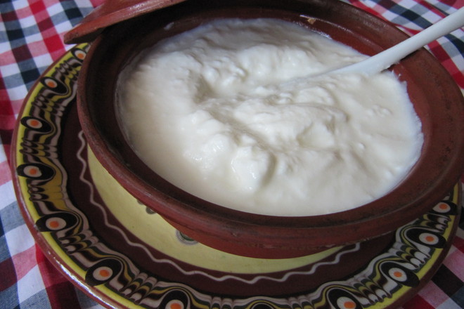 Balgarsko kiselo mlyako