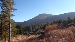 Пейзаж от Витоша