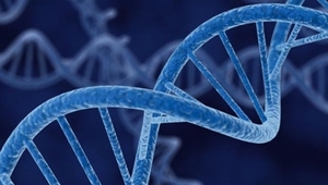 Генът казва, но средата определя