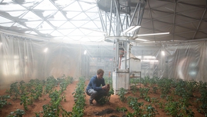 Мат Деймън отглежда картофи на Марс