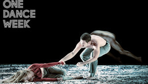 Трупата Daniel Abreu със спектакъла "Животно"