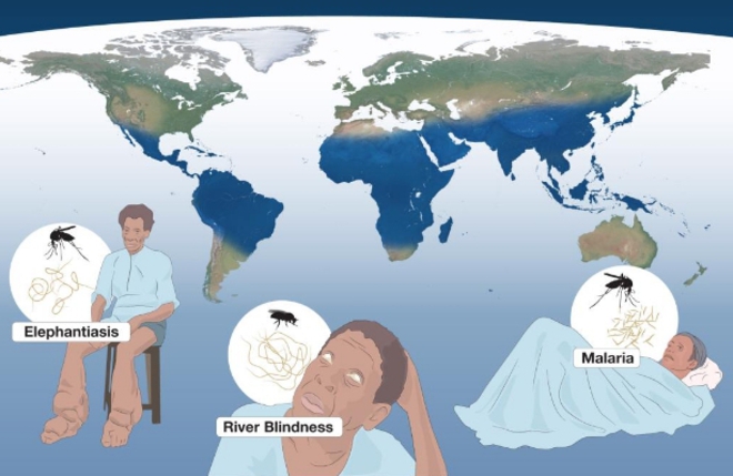 "Нобел" за борбата с елефантиазата, речната слепота и маларията