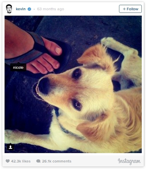 Куче и женски крак на първата снимка в "Инстаграм"