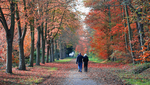 Дълга разходка в парка