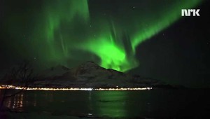 Китове плуват под северното сияние в Норвегия