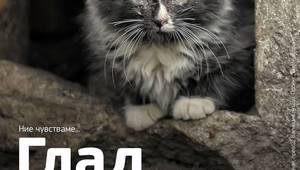 Ние чувстваме: Глад