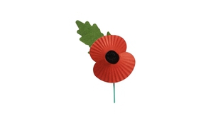 Макът - значка, който британците носят на ревера си през ноември