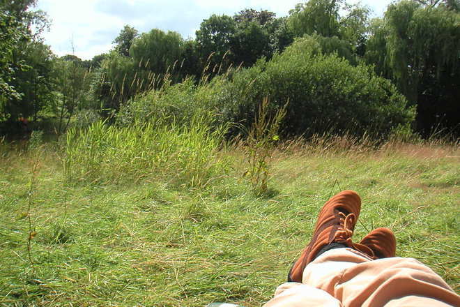 Relaks sred prirodata