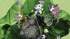 Афишът за Сънъри Джеймс и Райън Марсиано в "Ялта"