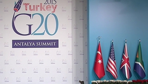 Котенце - неканен гост на срещата между лидерите от Г-20 в Турция