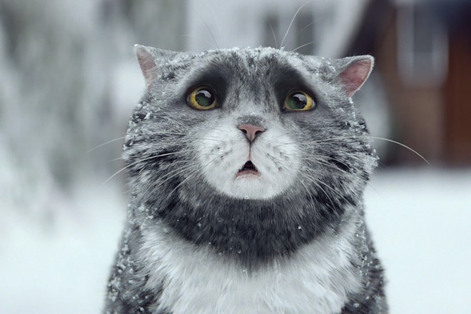 Mog ot kolednata reklama na seynsbari