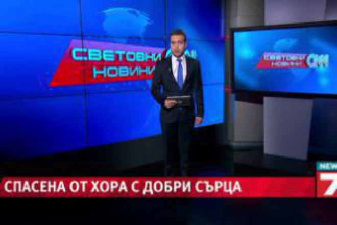 Спасиха куче, зазидано под тротоар. Поредния абсурд в нашата държава.