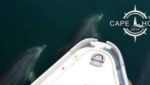 Първа българска експедиция ще покорява "морския Еверест"