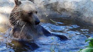 „Това е чудесно!“ или разказ за едно необикновено преживяване